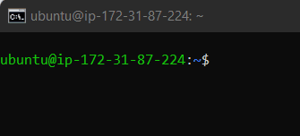 LINUX CLI Bootcamp Day 2